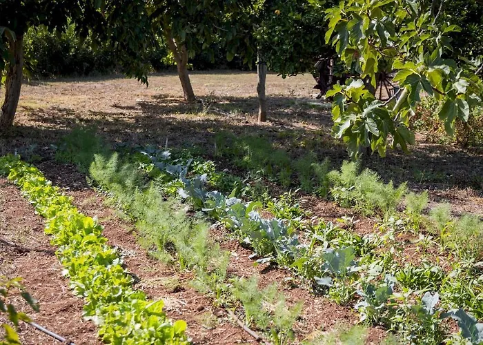 Villa I Mori 4, Emma Rosolini